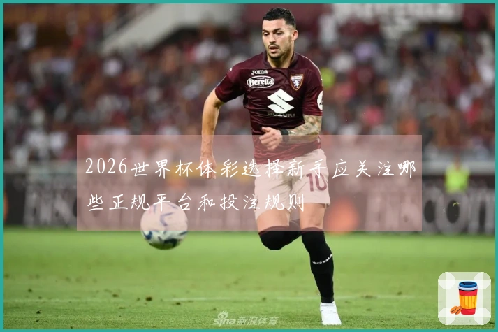 2026世界杯体彩选择新手应关注哪些正规平台和投注规则