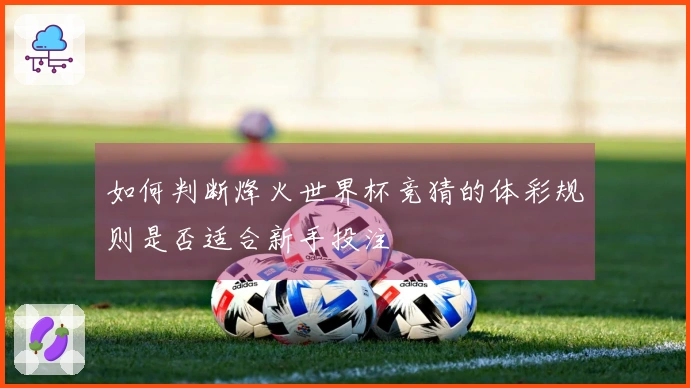 如何判断烽火世界杯竞猜的体彩规则是否适合新手投注