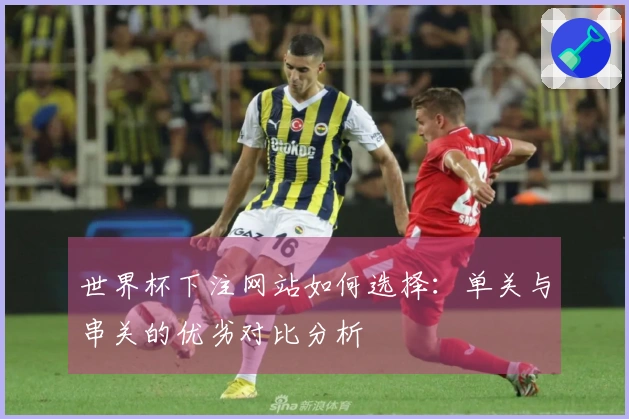 世界杯下注网站如何选择：单关与串关的优劣对比分析
