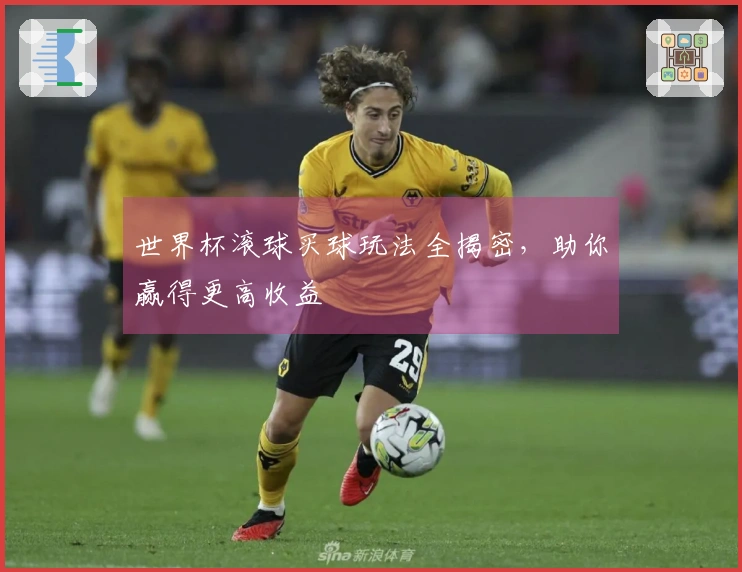 世界杯滚球买球玩法全揭密，助你赢得更高收益