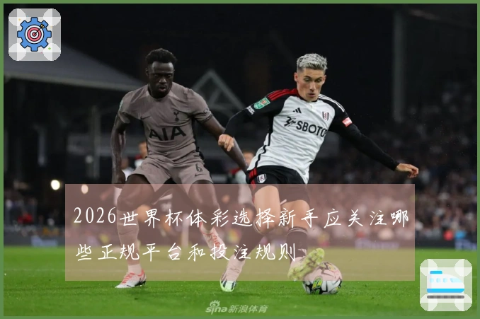 2026世界杯体彩选择新手应关注哪些正规平台和投注规则
