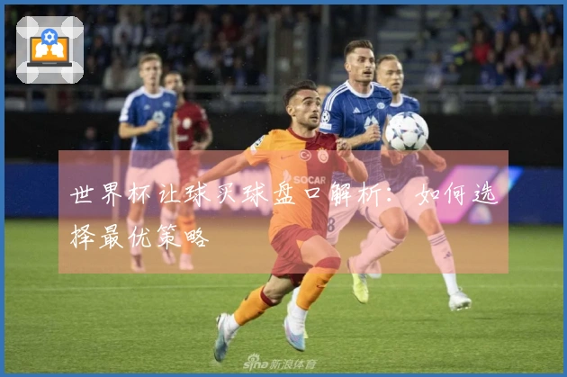 世界杯让球买球盘口解析：如何选择最优策略