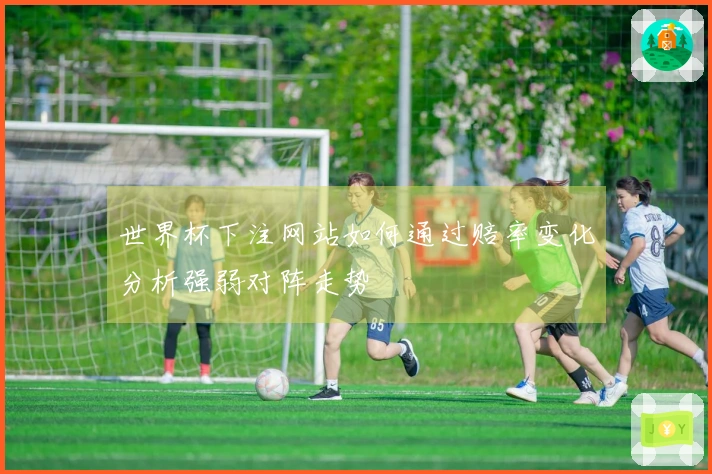 世界杯下注网站如何通过赔率变化分析强弱对阵走势