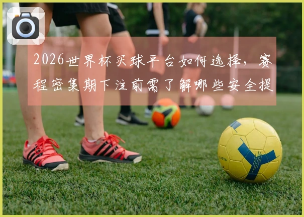 2026世界杯买球平台如何选择，赛程密集期下注前需了解哪些安全提示