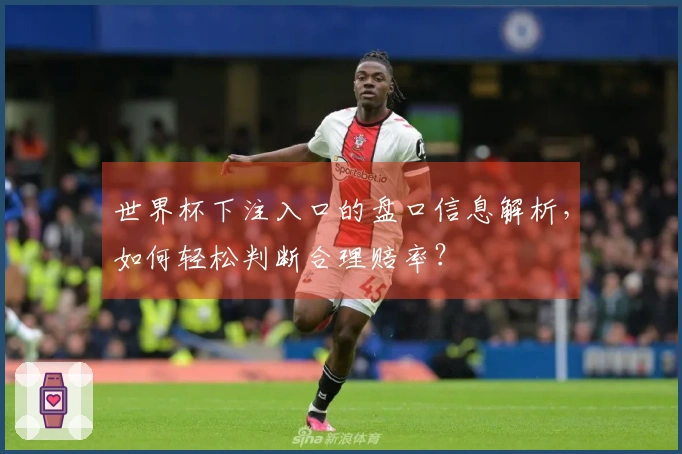 世界杯下注入口的盘口信息解析，如何轻松判断合理赔率？