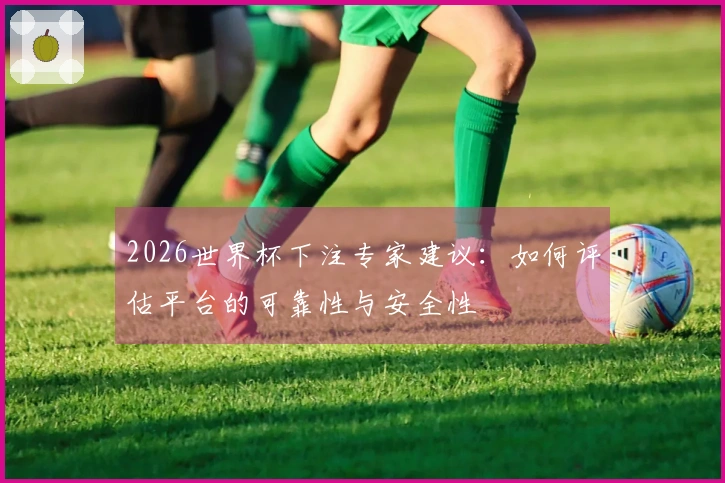 2026世界杯下注专家建议：如何评估平台的可靠性与安全性
