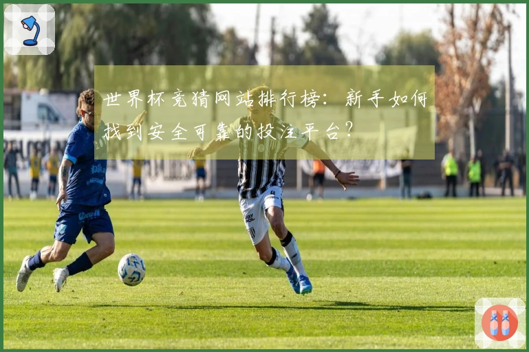 世界杯竞猜网站排行榜：新手如何找到安全可靠的投注平台？