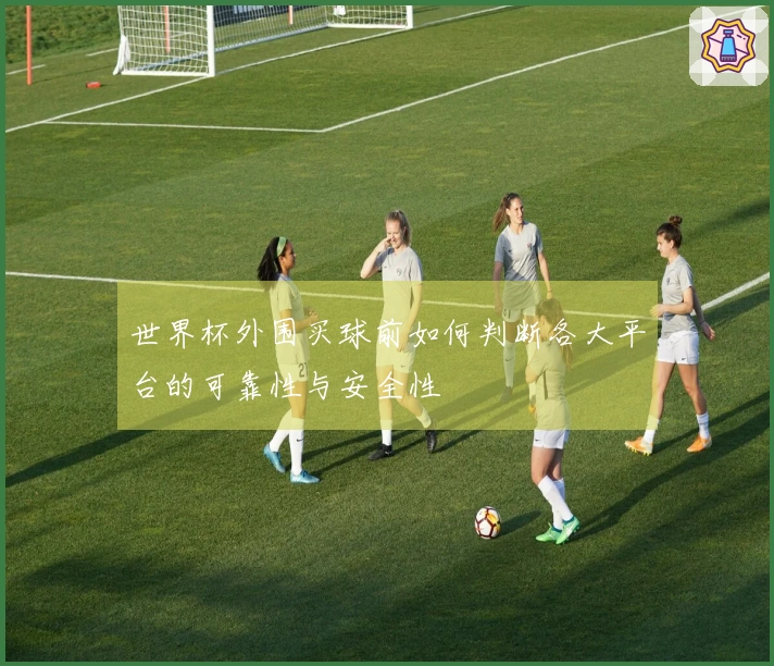 世界杯外围买球前如何判断各大平台的可靠性与安全性