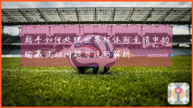 新手如何处理世界杯体彩竞猜中的输赢波动问题与技巧解析