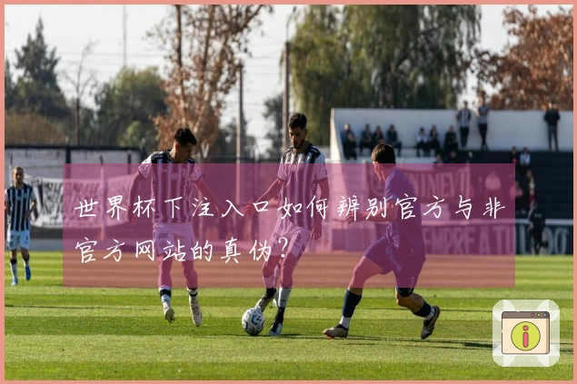 世界杯下注入口如何辨别官方与非官方网站的真伪？