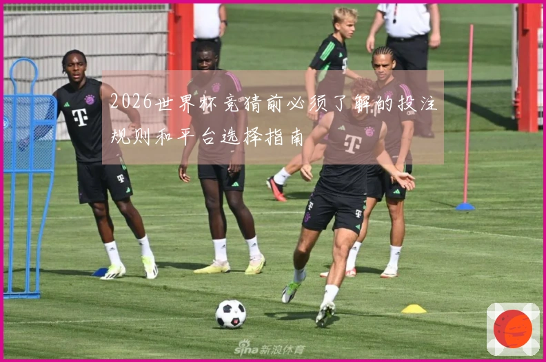 2026世界杯竞猜前必须了解的投注规则和平台选择指南
